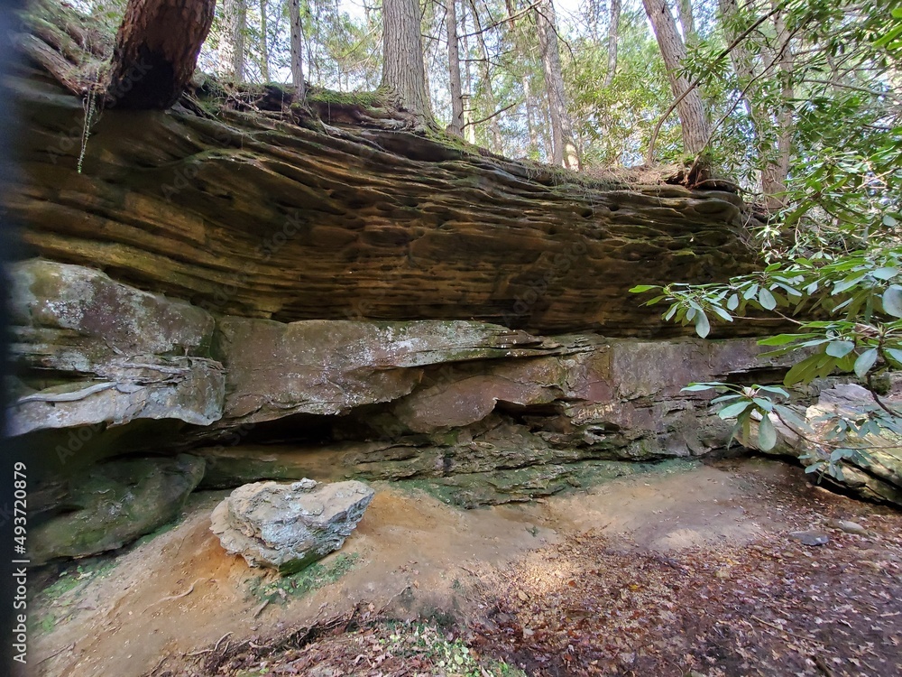 mossy cove in the mountains