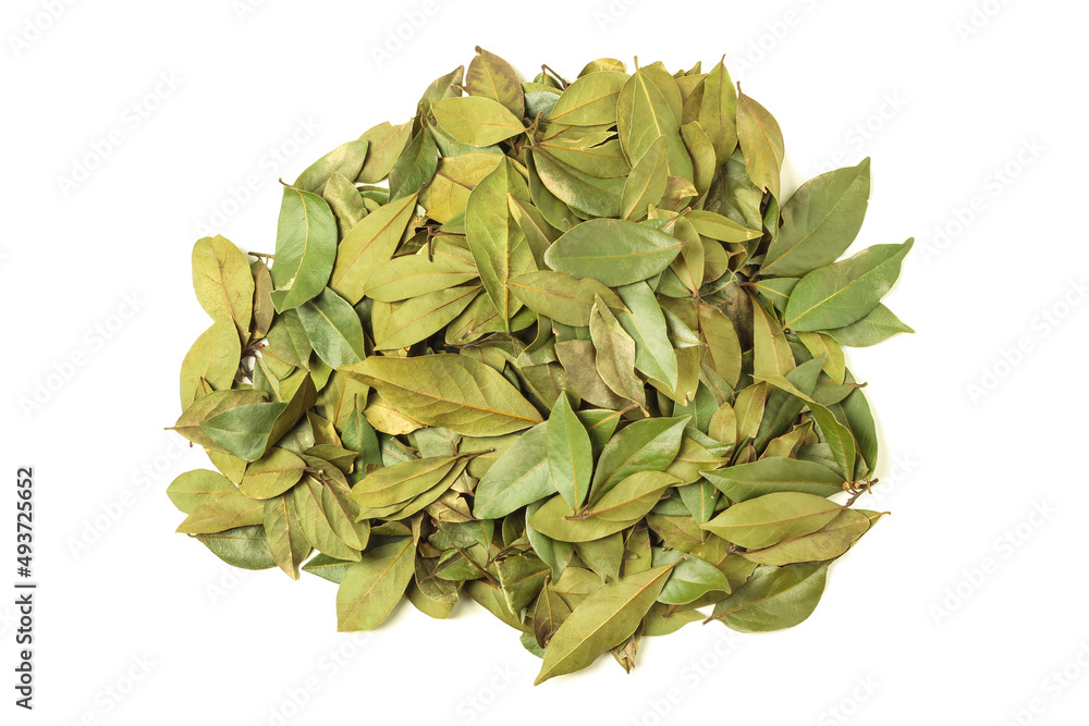 Laurel leaves Laurel leaves