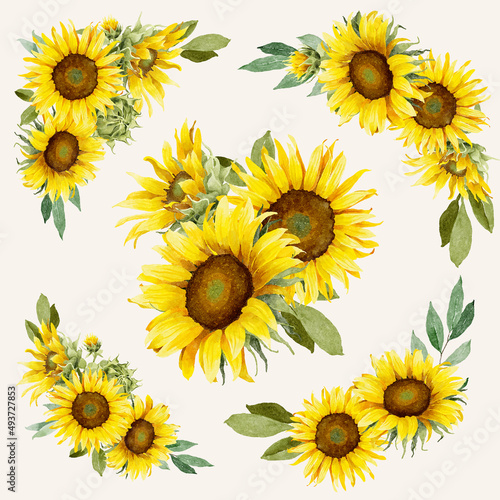 Watercolor Sunflowers Bouquets Collection photo