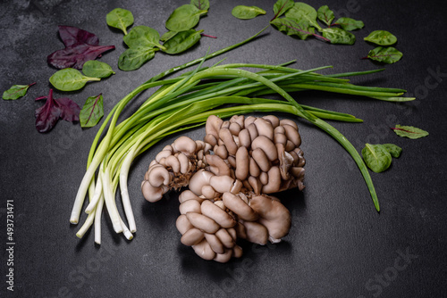 Oyster mushroom or Pleurotus ostreatus as easily cultivated mushroom photo