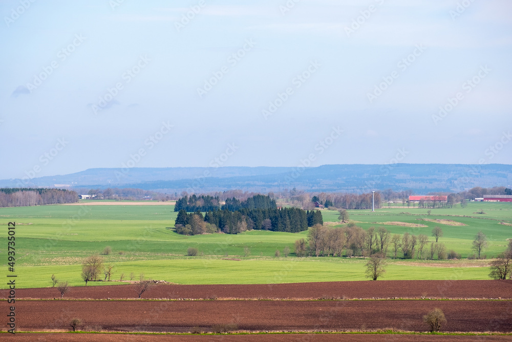 View of fields and tree groves in the countryside