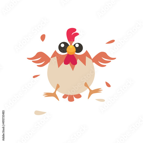 Chicken vector illustration, chicken character, rooster illustration