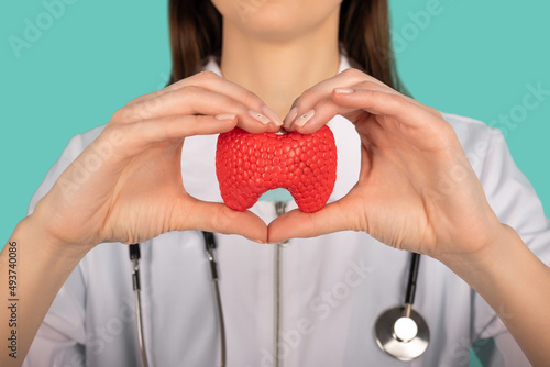 Female doctor with a stethoscope is holding mockup thyroid gland. Help and care concept photo