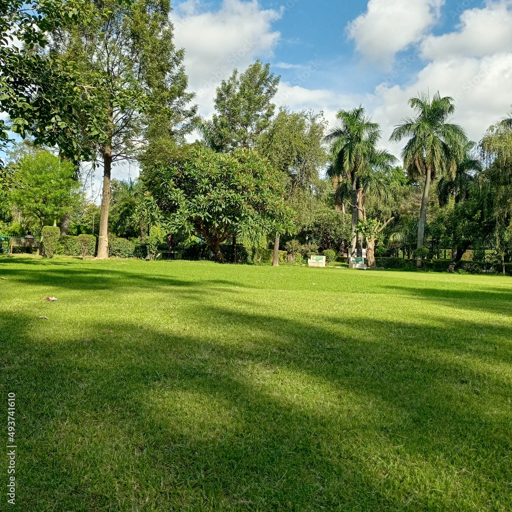 path in the park