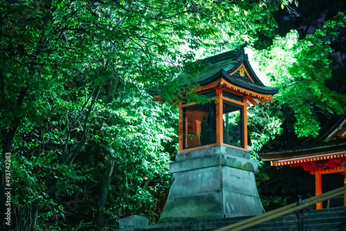 japanese garden gate © D’s Photograph