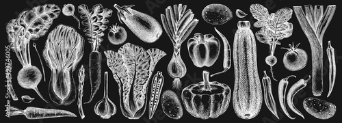 Hand-sketched Vegetable collection on chalkboard. Vector set of hand-drawn tomatoes, squashes peppers, asparagus, potatoes, asparagus drawings. Vintage plants elements in engraved style. 