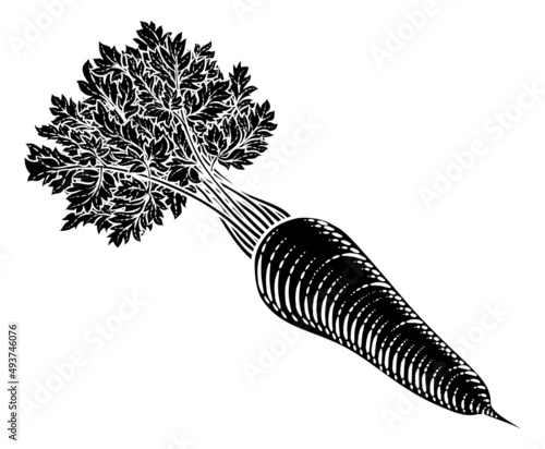 Carrot Vegetable Vintage Wo...