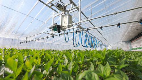 Obraz na plátně Application of intelligent seedling greenhouse in North China