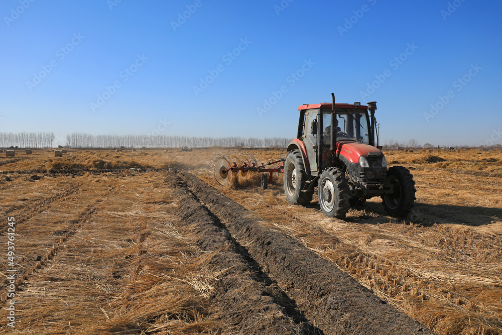 Farmers use a disc rake to collect straw in the field, North China Farmers use a disc rake to collect straw in the field, North China