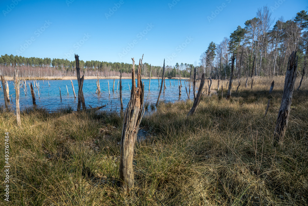 Fototapeta premium Blauteich