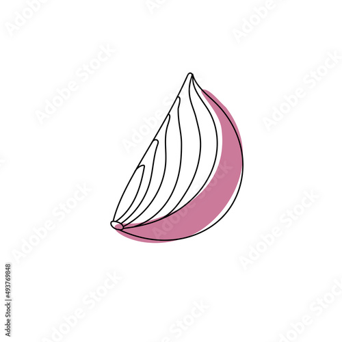 Doodle outline slice onion with spot. Vector illustration for packing