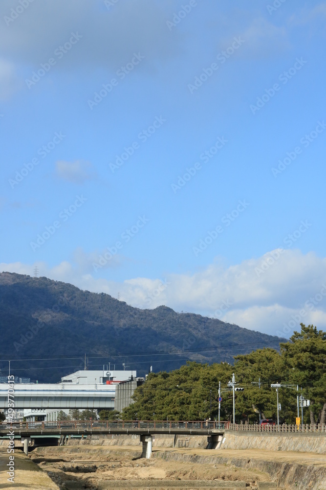 Fototapeta premium 日本の街中を流れる川の風景 兵庫県芦屋市芦屋川の松並木 