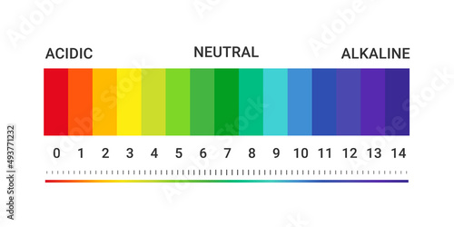 pH value scale chart for acid-alkaline solution. Acid-base balance infographic isolated on white background. Indicator for concentration of hydrogen ion in solution. Vector illustration