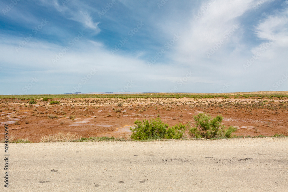 Kyzylkum Desert in Northern Uzbekistan, Central Asia