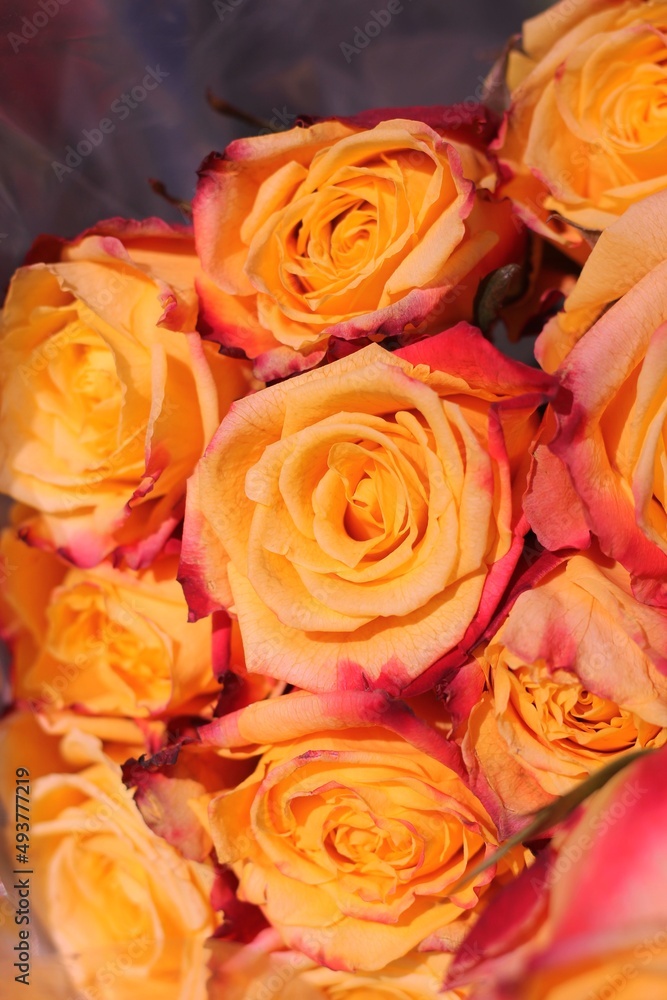 bouquet of orange roses bouquet of orange roses