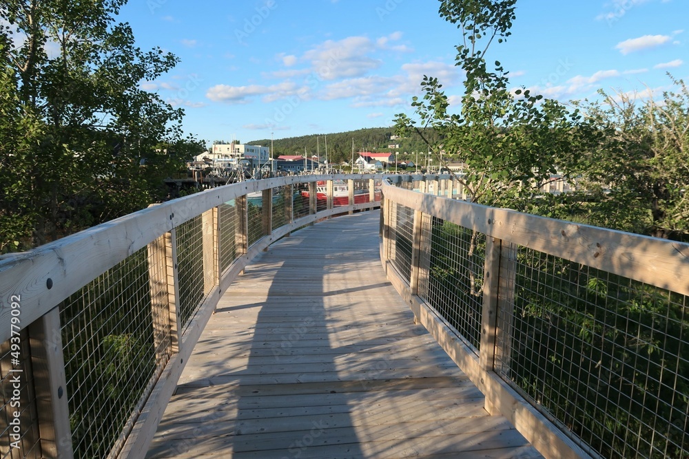 bridge over the river