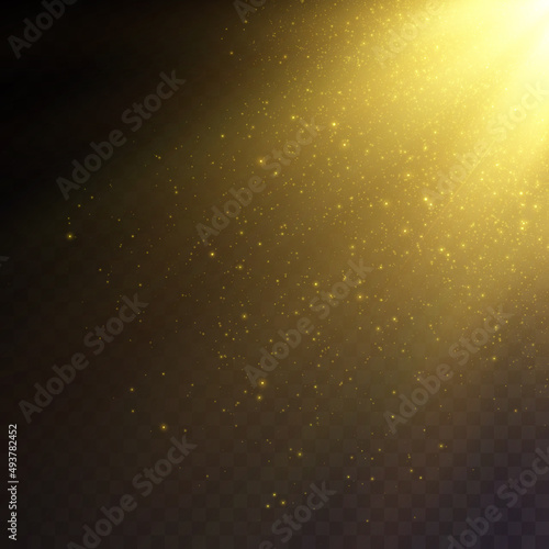 Vector transparent falling sunlight special lens, flare light effect. Vector blur in a glow of light with many twinkling golden fireflies.