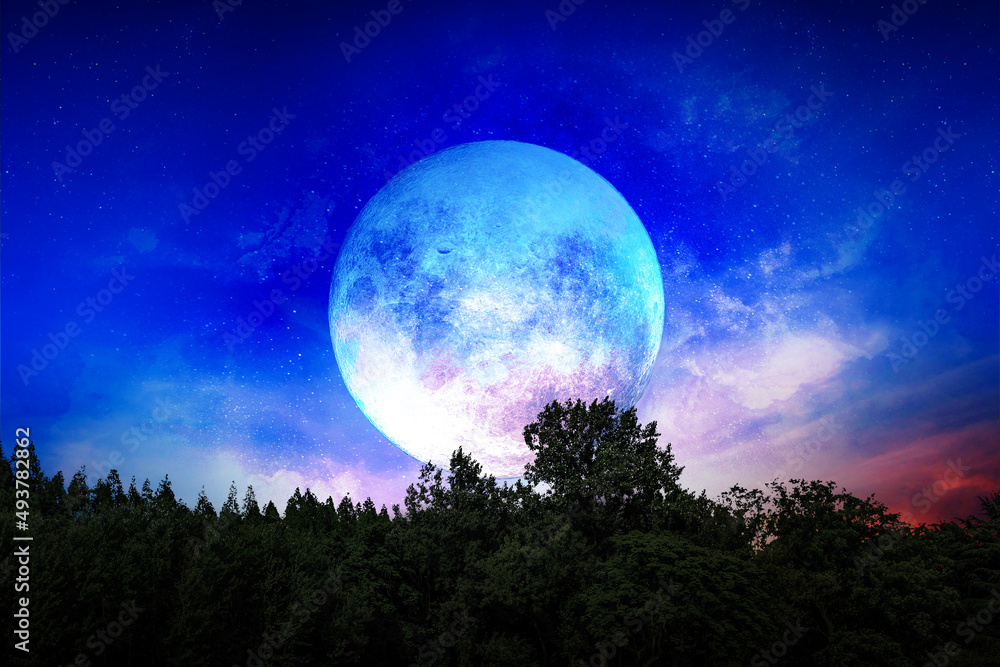 Silhouette tree and moon in blue space. Amazing display of blue and red color in the sky. Background night sky with stars, moon and lugs. The image of the moon of incomparable beauty. Silhouette tree and moon in blue space. Amazing display of blue and red color in the sky. Background night sky with stars, moon and lugs. The image of the moon of incomparable beauty.