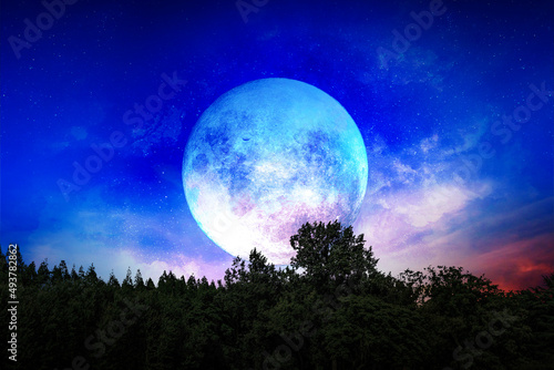Silhouette tree and moon in blue space. Amazing display of blue and red color in the sky. Background night sky with stars, moon and lugs. The image of the moon of incomparable beauty.
