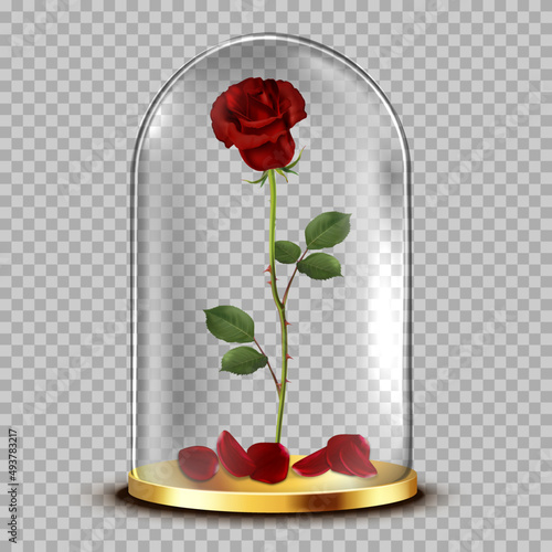 Red rose in glass flask
