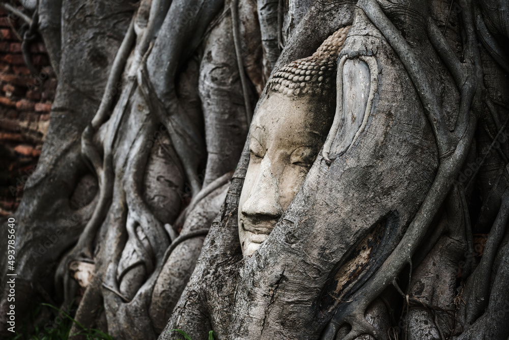 Buddha Head in Banyan tree roots at wat mahathat, Ayutthaya Buddha Head in Banyan tree roots at wat mahathat, Ayutthaya