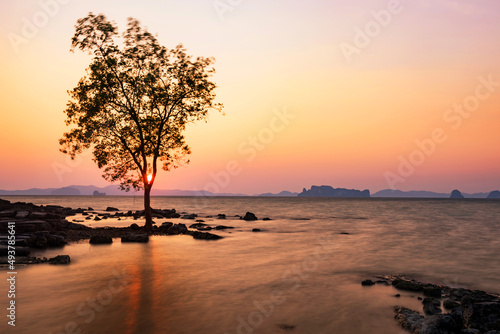 Silhouette tree on beach at sunset in Koh Kwang island in Krabi