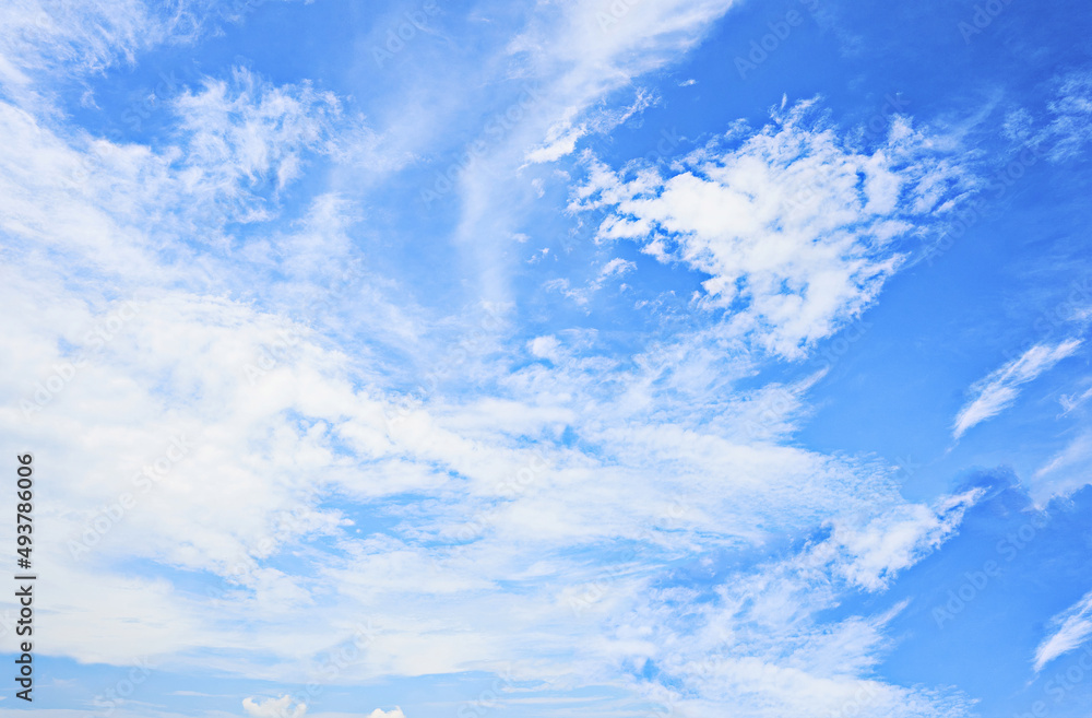 Fototapeta premium blue sky with cloud for background