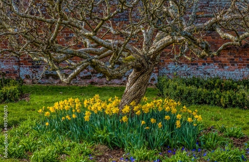 Littlecote Tudor House, Berkshire, England, UK.  Grounds photo