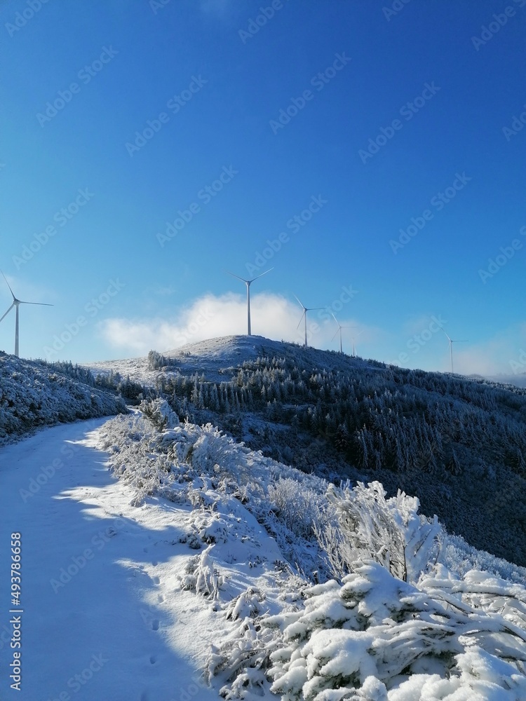 Fototapeta premium landscape in the mountains