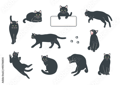 猫のイラストセット
