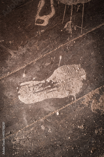 footprint