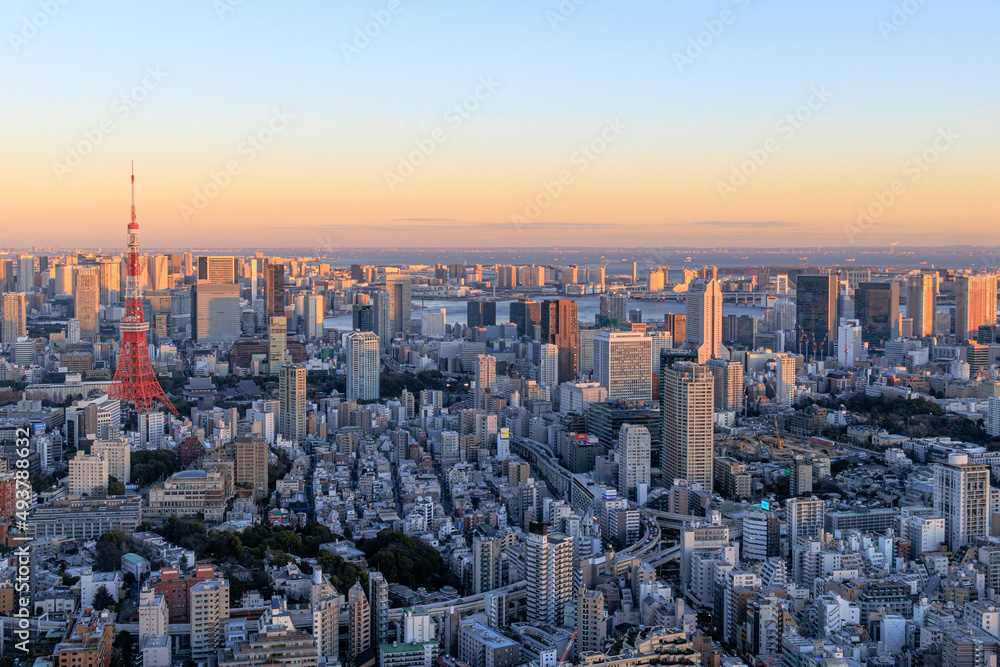 東京タワーと東京のビル群の夕景