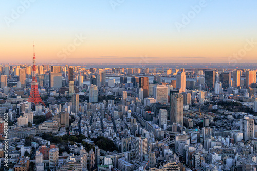 東京タワーと東京のビル群の夕景 © 修平 上田