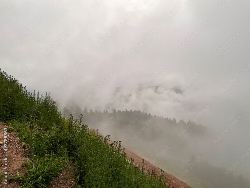 Fototapeta premium Schwarzwald Hochstrasse