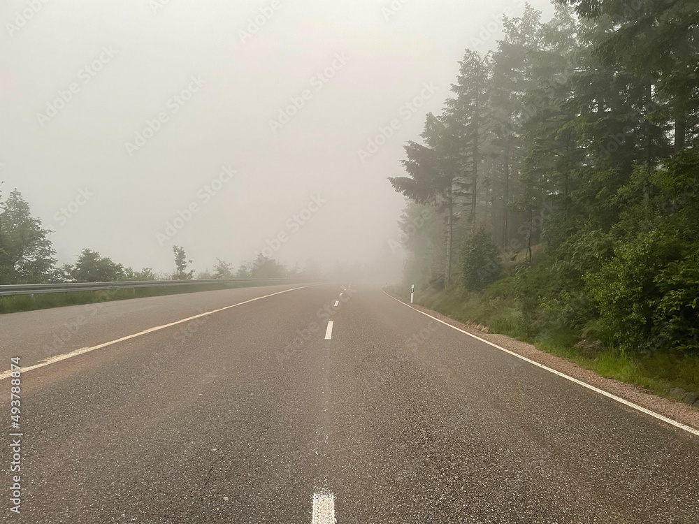 Fototapeta premium Schwarzwald Hochstrasse