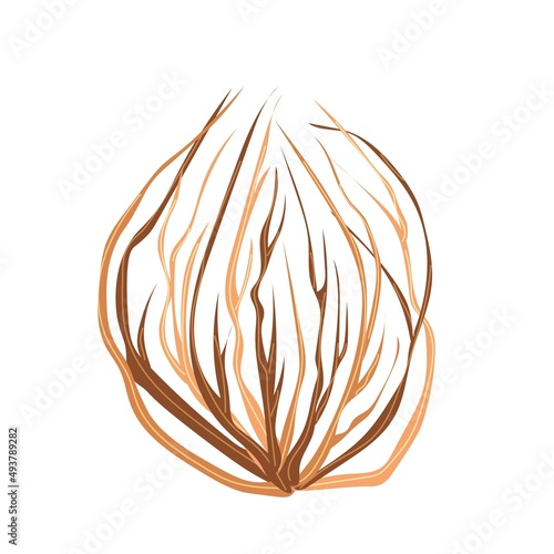 Dead tumbleweed plant in cartoon style isolated on white background. Wild west nature