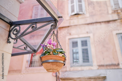 Flowers pot hanging on town street.