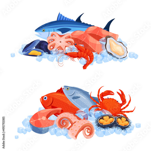 Seafood set fish, octopus, shrimp, sea urchin, crab, tentacles, salmon, oyster, mussel vector flat