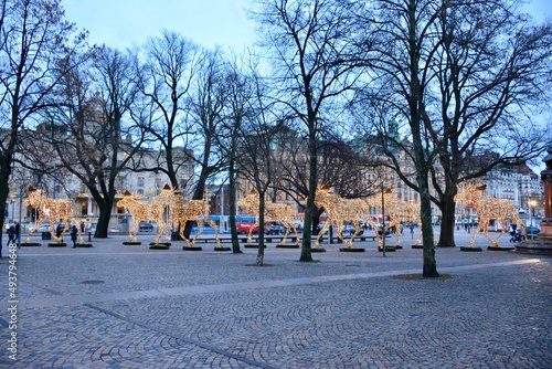 park in winter