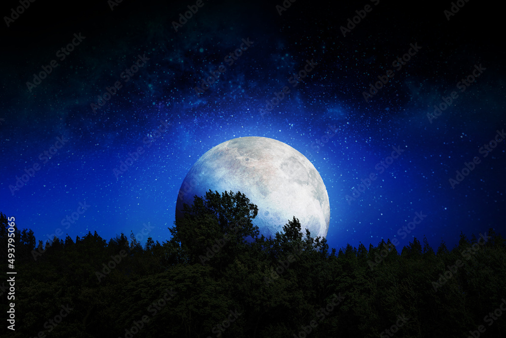 Silhouette tree and moon in blue space. Amazing display of blue color ...