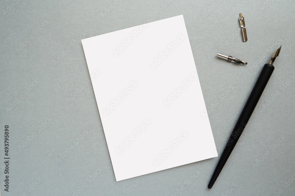 Blank paper sheet, card mockup, page for lettering mockup, calligraphy pen and nibs, flat lay composition on gray background. Blank paper sheet, card mockup, page for lettering mockup, calligraphy pen and nibs, flat lay composition on gray background.