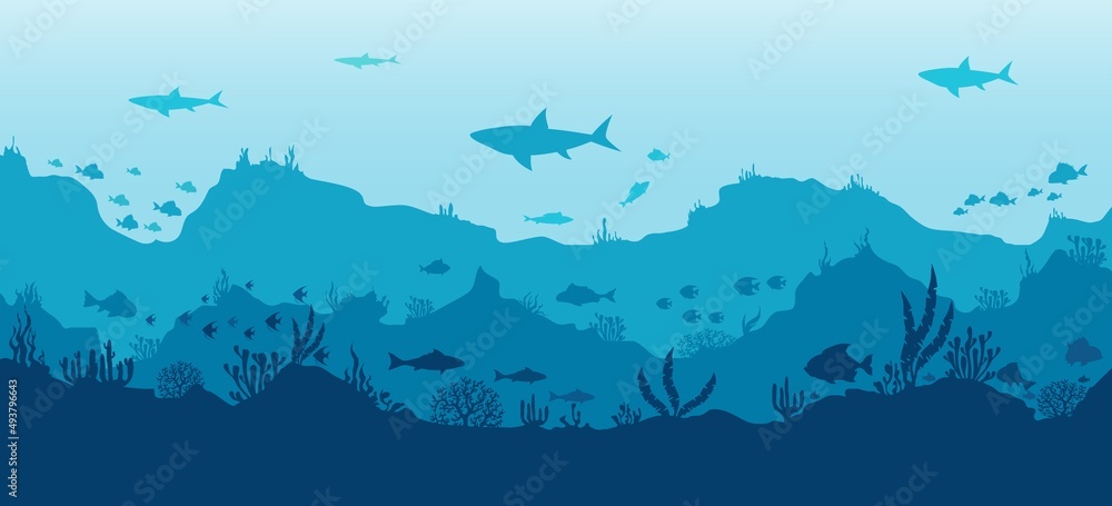 Underwater scenery panorama