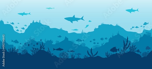 Fototapeta Naklejka Na Ścianę i Meble -  Underwater scenery panorama