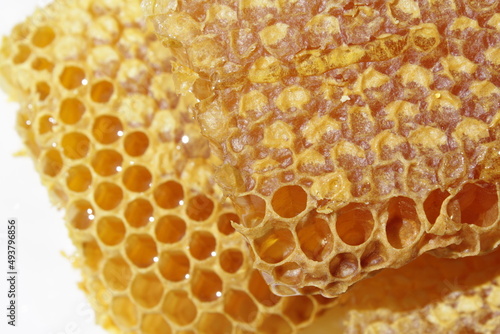 Natural Ukrainian honey in honeycombs, bee on honeycombs, bright sun, deep yellow color.