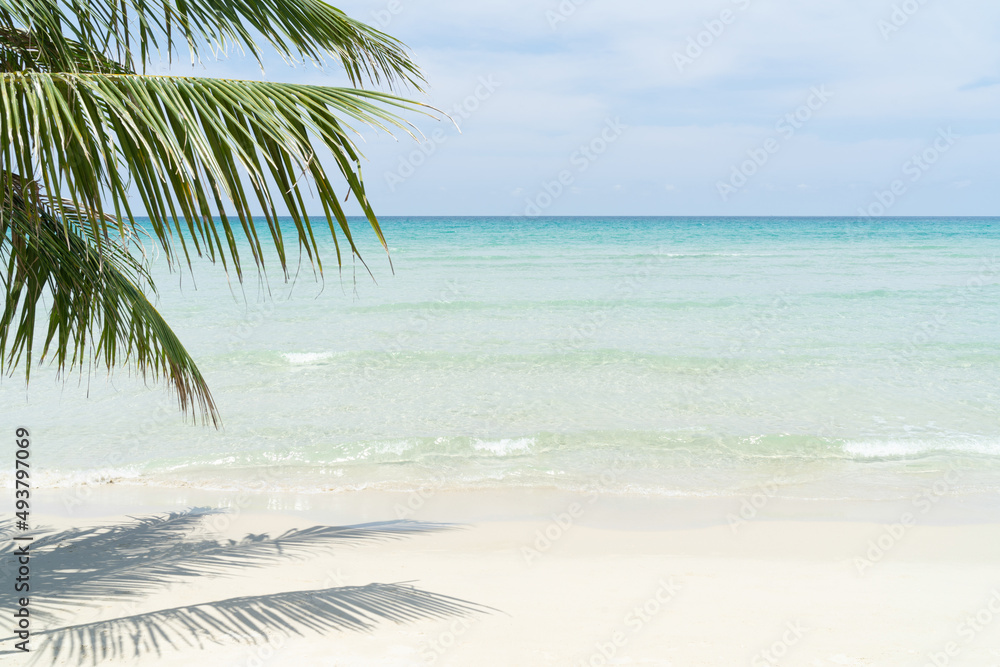 Beach for background with crystal sea and palm tree in foreground