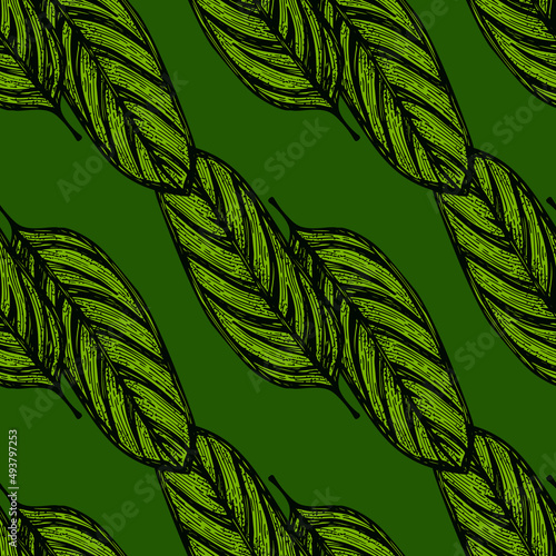 Alocasia leaves seamless pattern.Vintage tropical branch in engraving style.