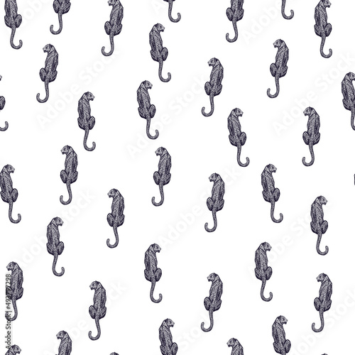 Leopard sit back seamless pattern. Vintage wildlife animals background.
