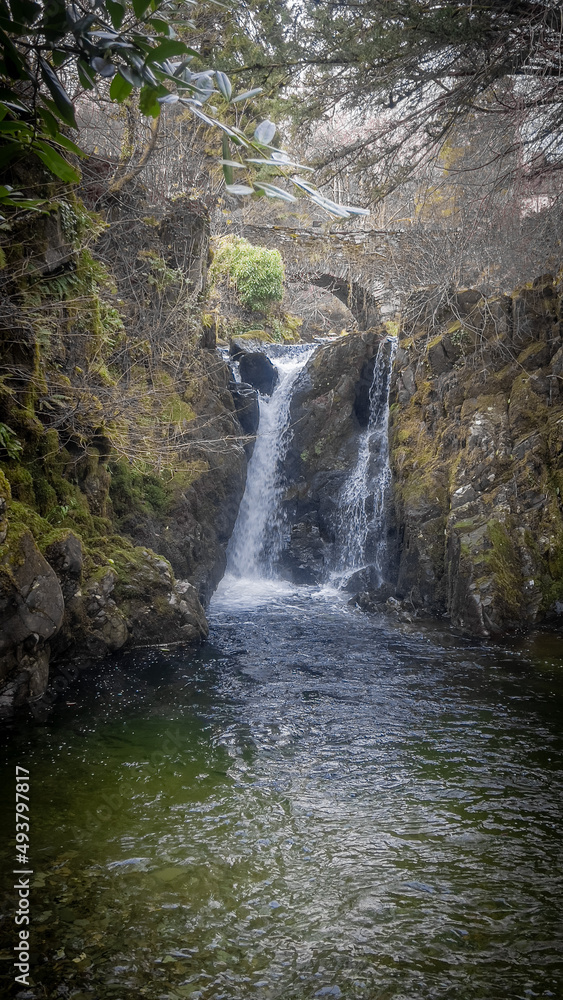 waterfall in the forest