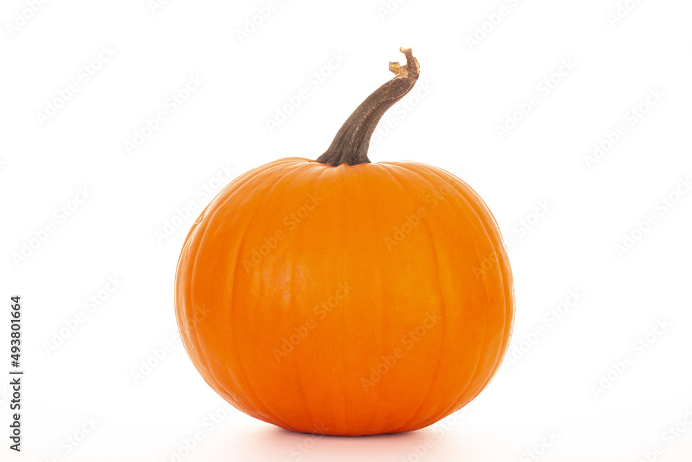 Obraz premium Big orange pumpkin uncut isolated on white