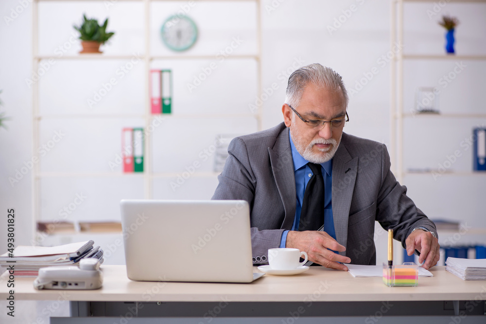 Old male employee working in the office Old male employee working in the office